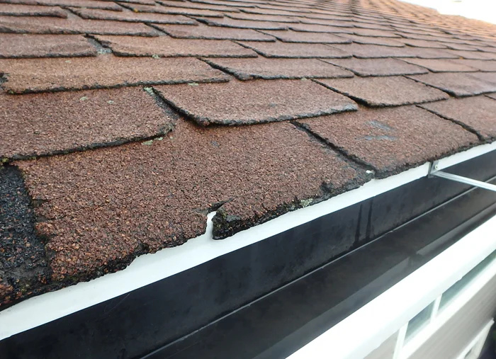 Roof Hail Damaged Shingles Inspection